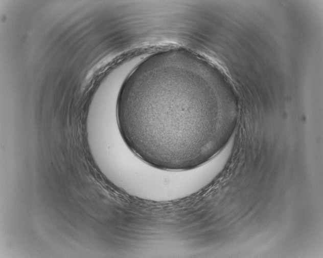 X0000070410920200606161407