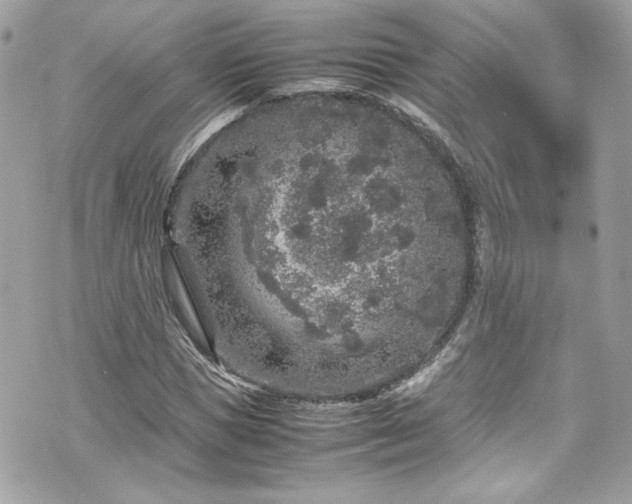 X0000070410921200606161407