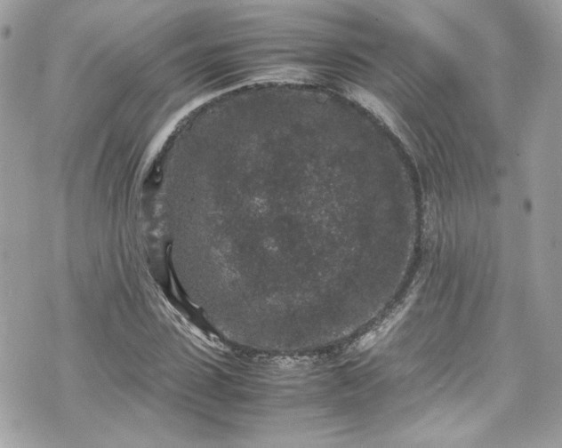 X0000070410923200606161407