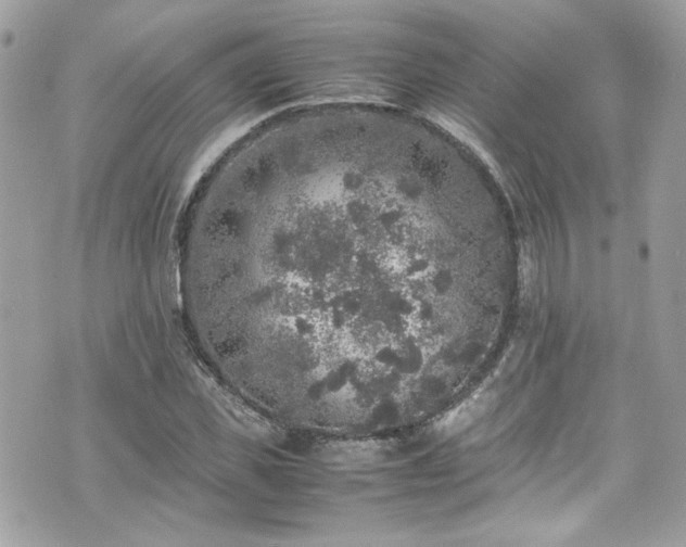 X0000070410925200606161407