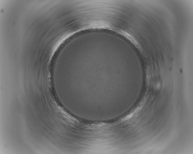 X0000070410926200606161407