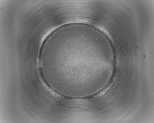 X0000070410928200606161407