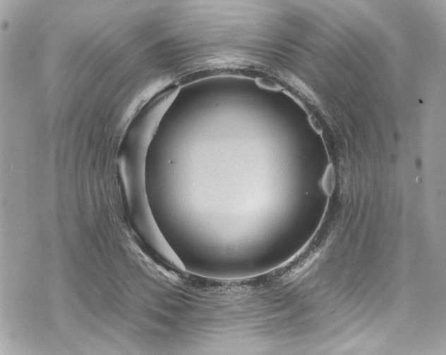 X0000070410930200606161407