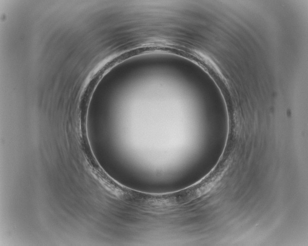 X0000070410931200606161407