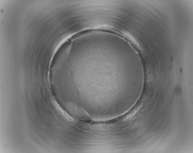 X0000070410932200606161407