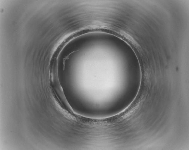 X0000070410934200606161407