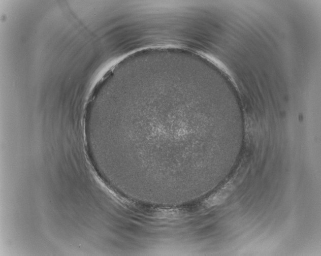 X0000070410935200606161407