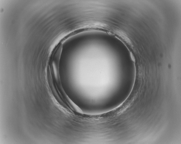 X0000070410936200606161407