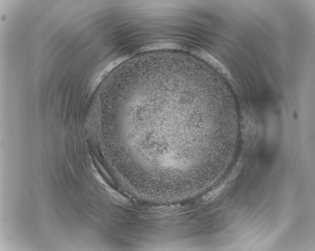 X0000070410937200606161407