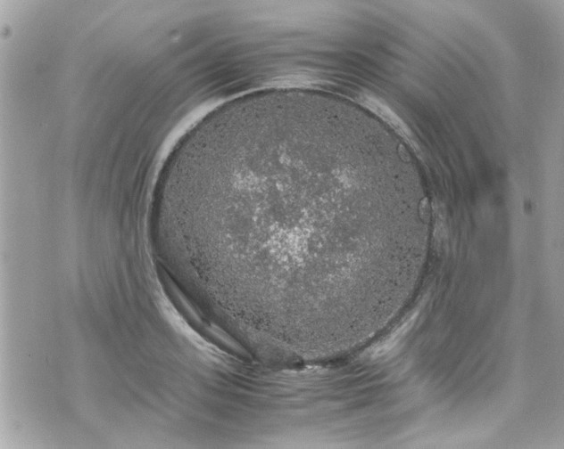 X0000070410939200606161407