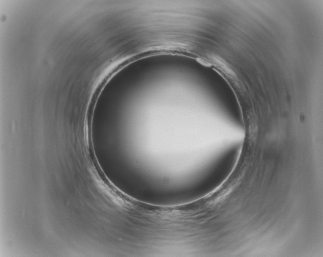 X0000070410940200606161407