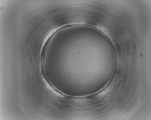 X0000070410941200606161407