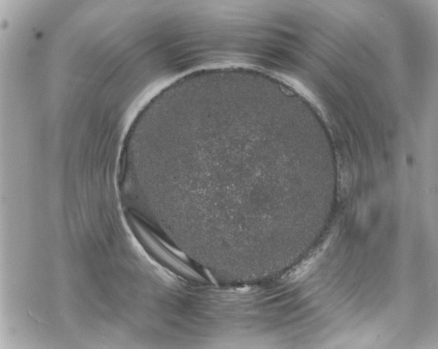 X0000070410943200606161407