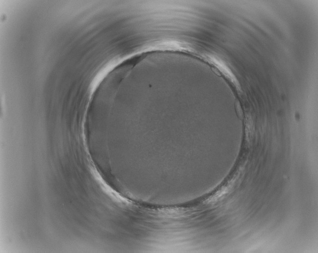 X0000070410944200606161407