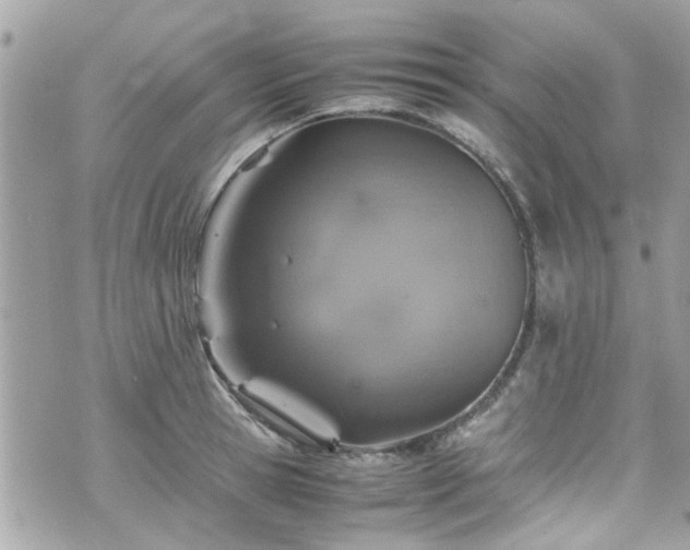 X0000070410945200606161407