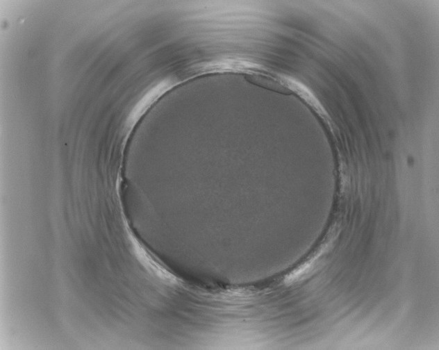 X0000070410946200606161408