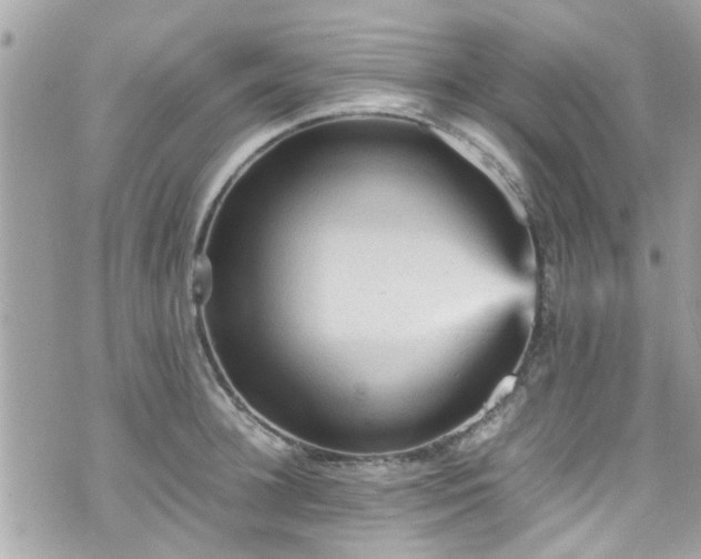 X0000070410948200606161408