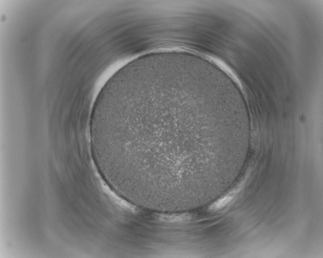 X0000070410951200606161408