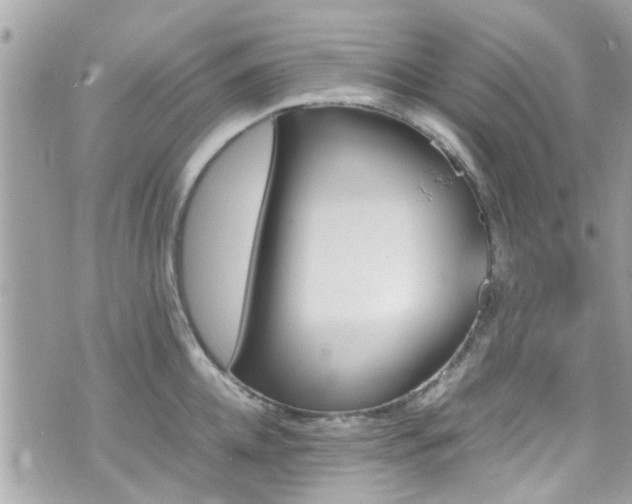 X0000070410952200606161408