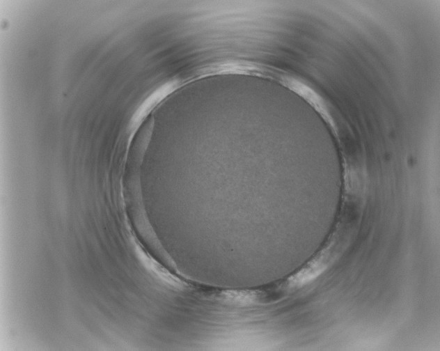 X0000070410954200606161408