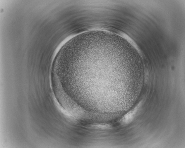 X0000070410955200606161408