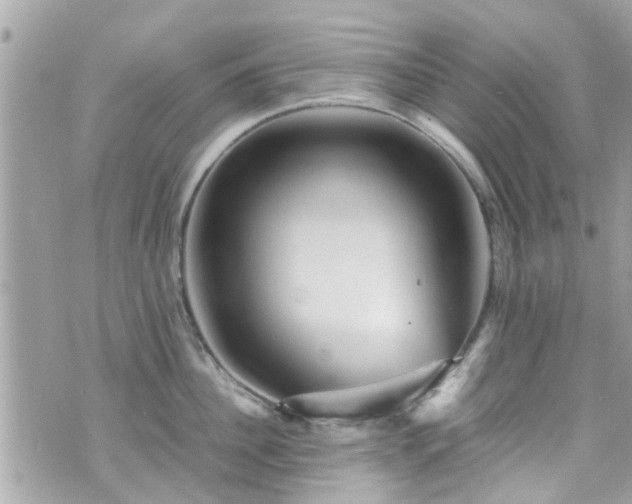 X0000070410956200606161408