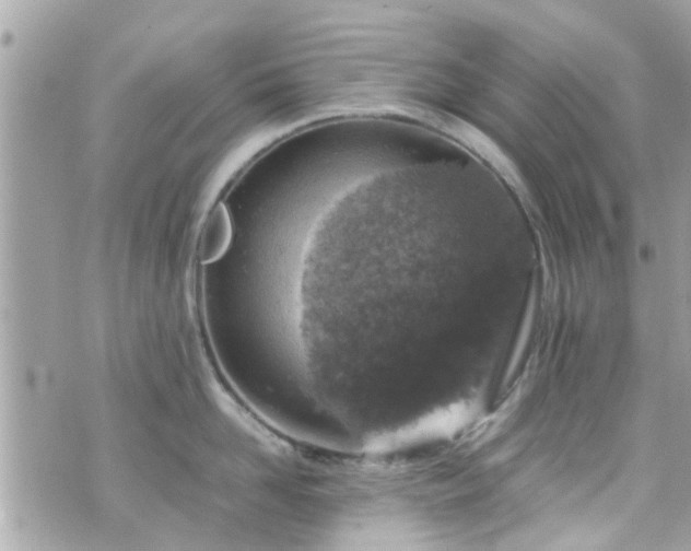 X0000070410958200606161408