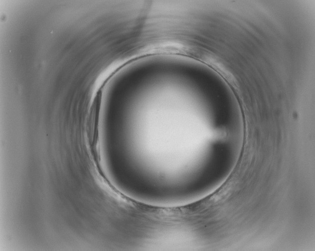 X0000070410960200606161408