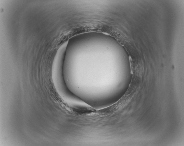 X0000070410961200606161407