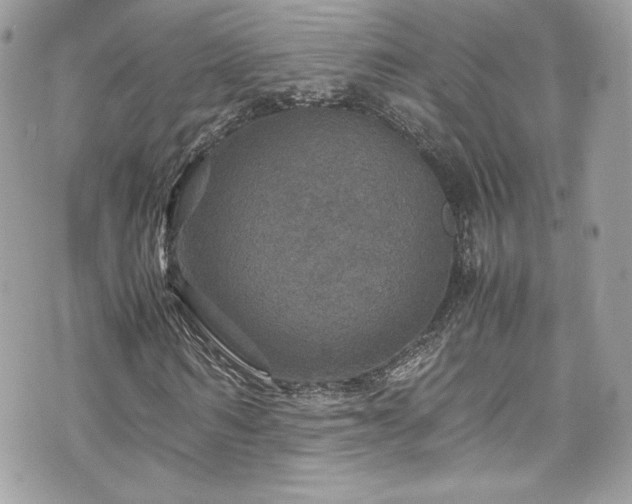 X0000070410962200606161407