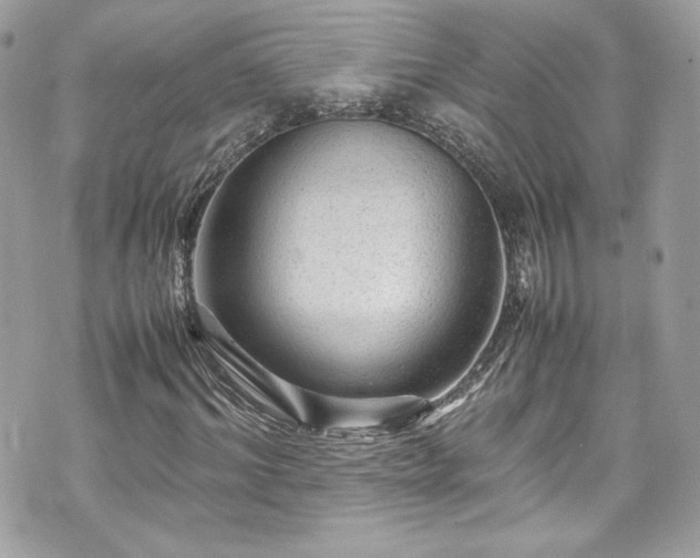 X0000070410964200606161407