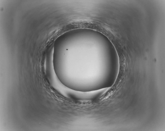 X0000070410965200606161407