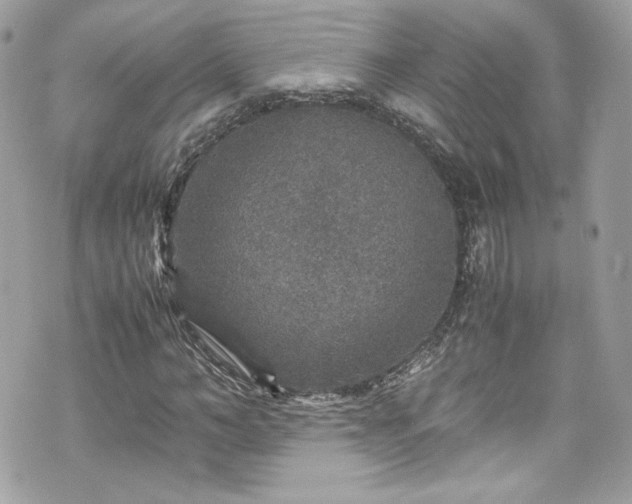 X0000070410966200606161407