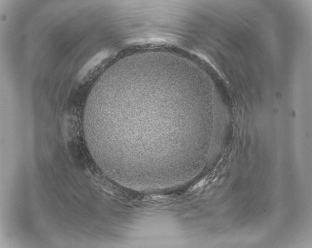 X0000070410967200606161407