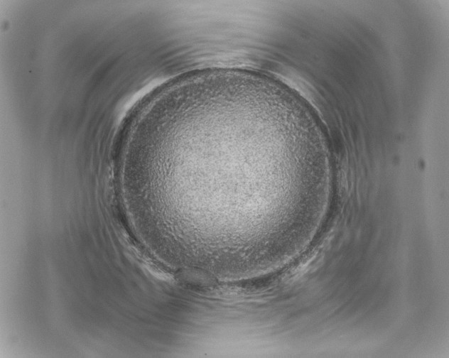 X0000070410971200606161407