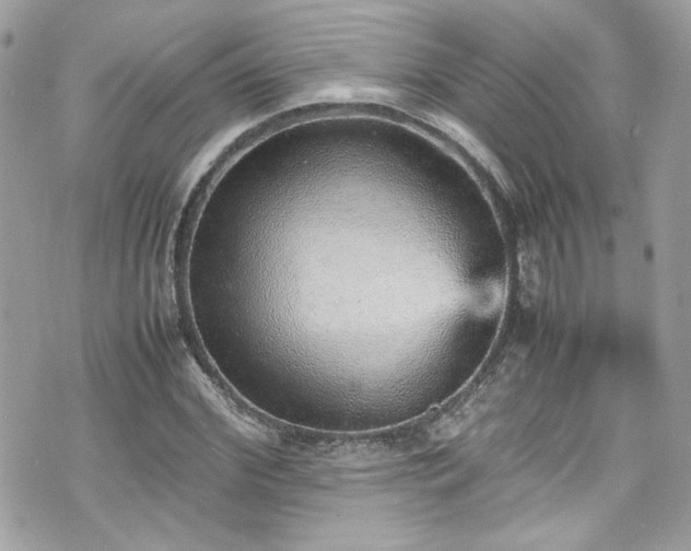 X0000070410972200606161407