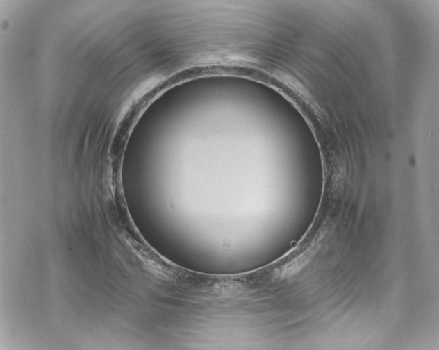 X0000070410974200606161407