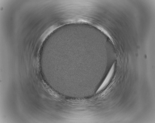 X0000070410975200606161407