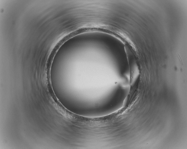 X0000070410976200606161407