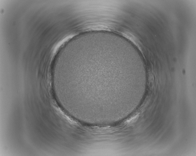 X0000070410979200606161407