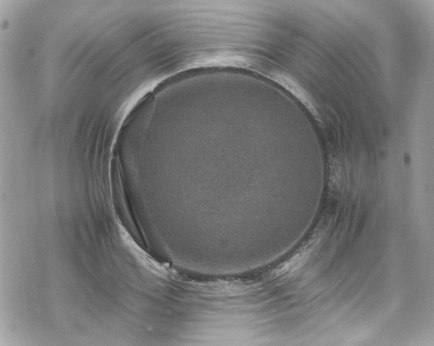 X0000070410980200606161407