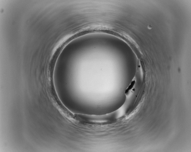 X0000070410981200606161407