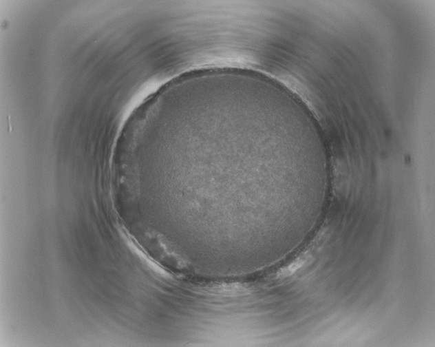 X0000070410982200606161407