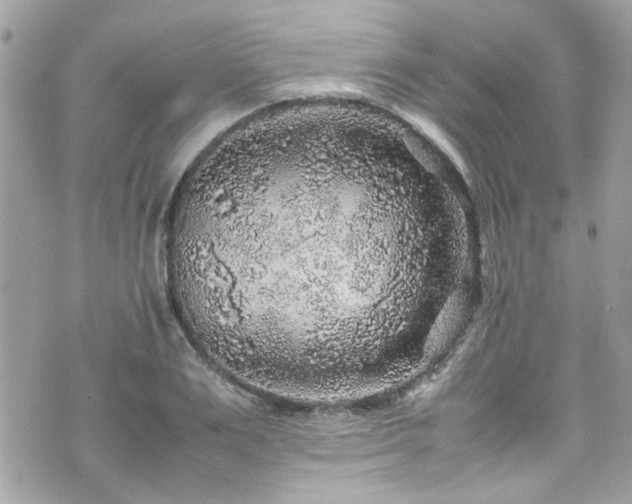 X0000070410983200606161407