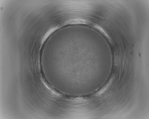 X0000070410986200606161407