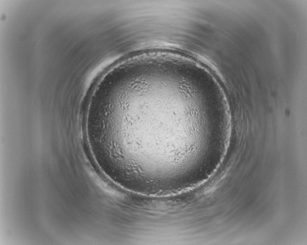 X0000070410987200606161407