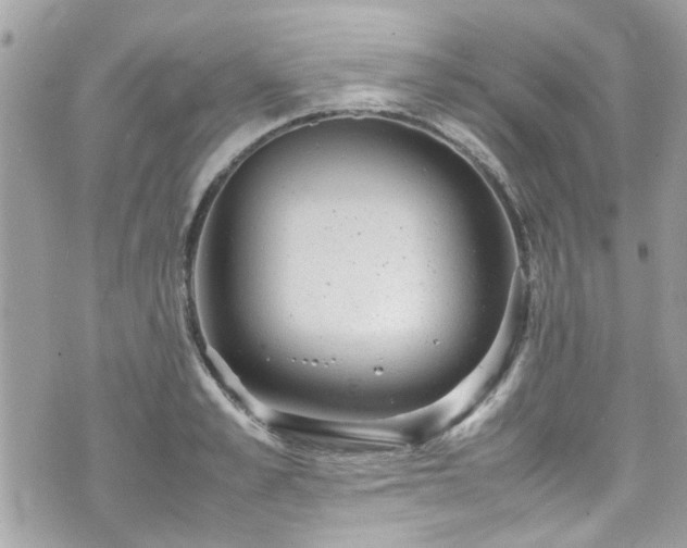 X0000070410989200606161406