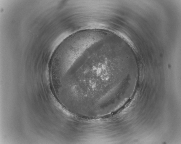 X0000070410990200606161406