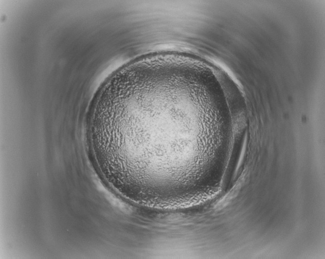 X0000070410991200606161406