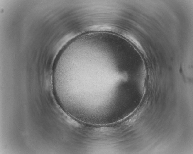 X0000070410992200606161406